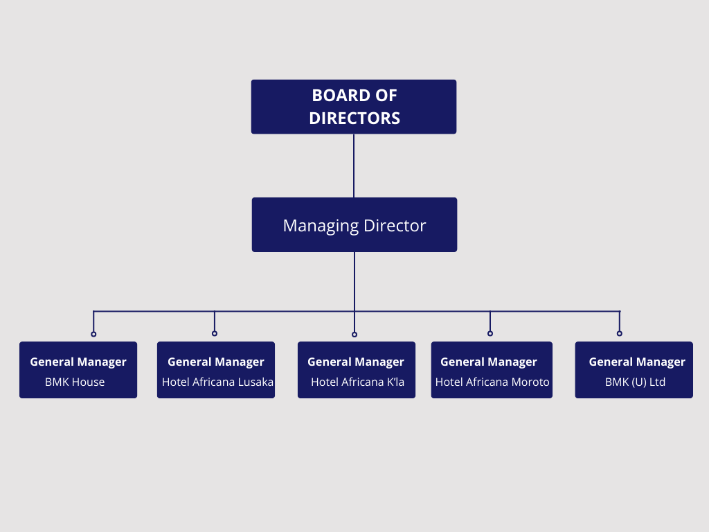 BMK Group Organizational Structure